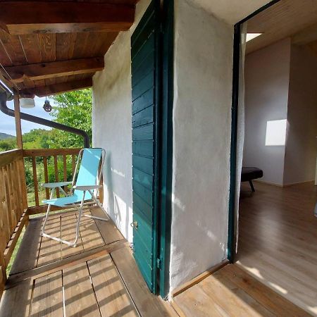 Apartmaji Hedera Komen 外观 照片