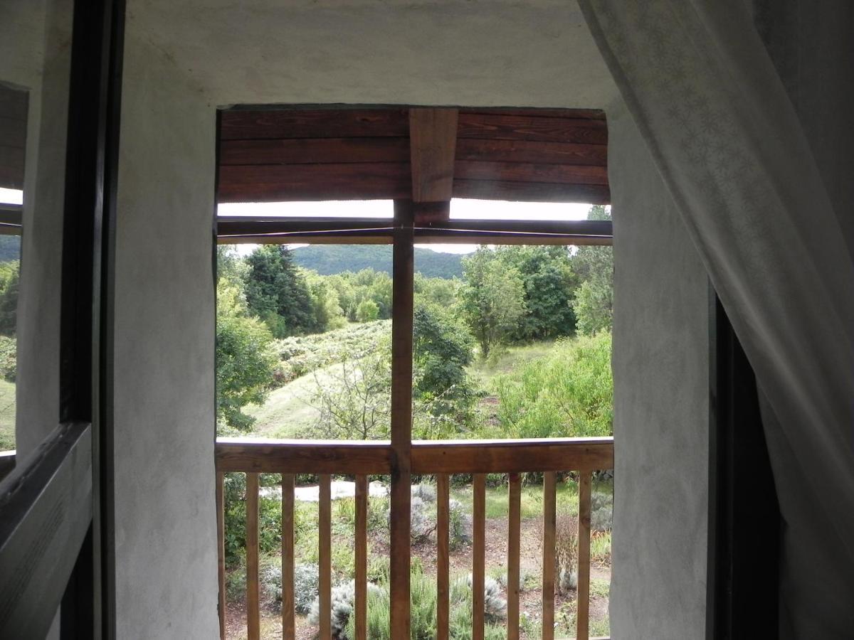 Apartmaji Hedera Komen 外观 照片