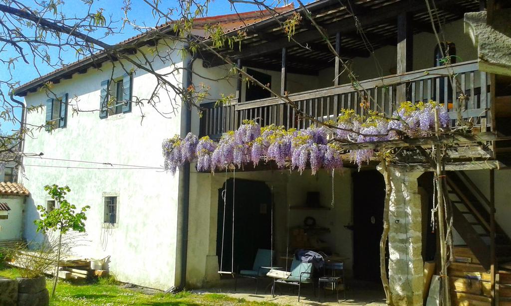 Apartmaji Hedera Komen 外观 照片