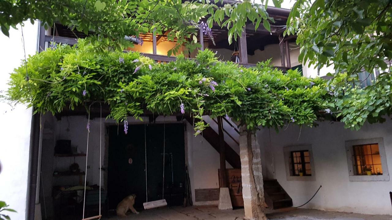 Apartmaji Hedera Komen 外观 照片