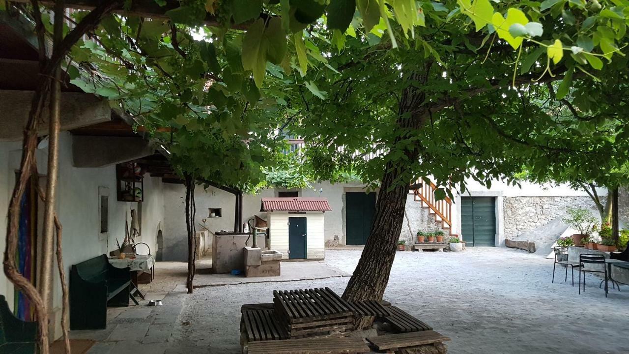 Apartmaji Hedera Komen 外观 照片